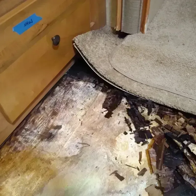 Wood Floor Water Damage in Cleveland, TN